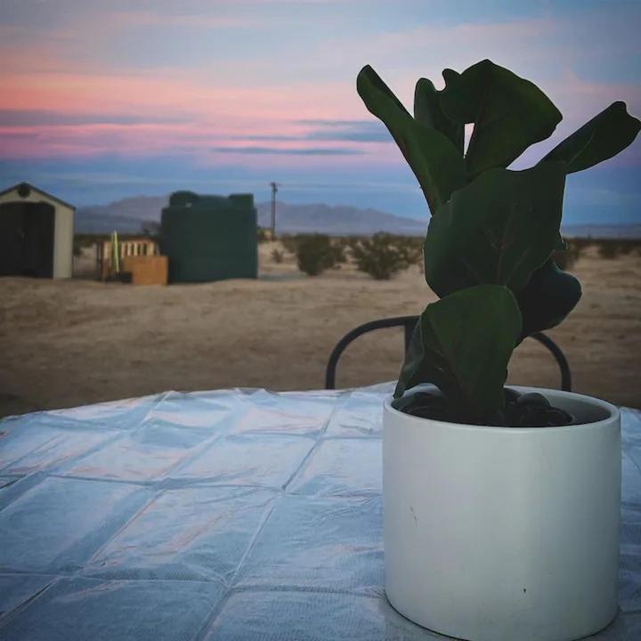 Serene Modern Home Backdoor With Great Wifi, Games, Movies, Patio Seating And Bbq Easy Access To North Joshua Tree National Park In 10 Minutes Twentynine Palms Exterior photo